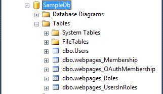Users Table in Database